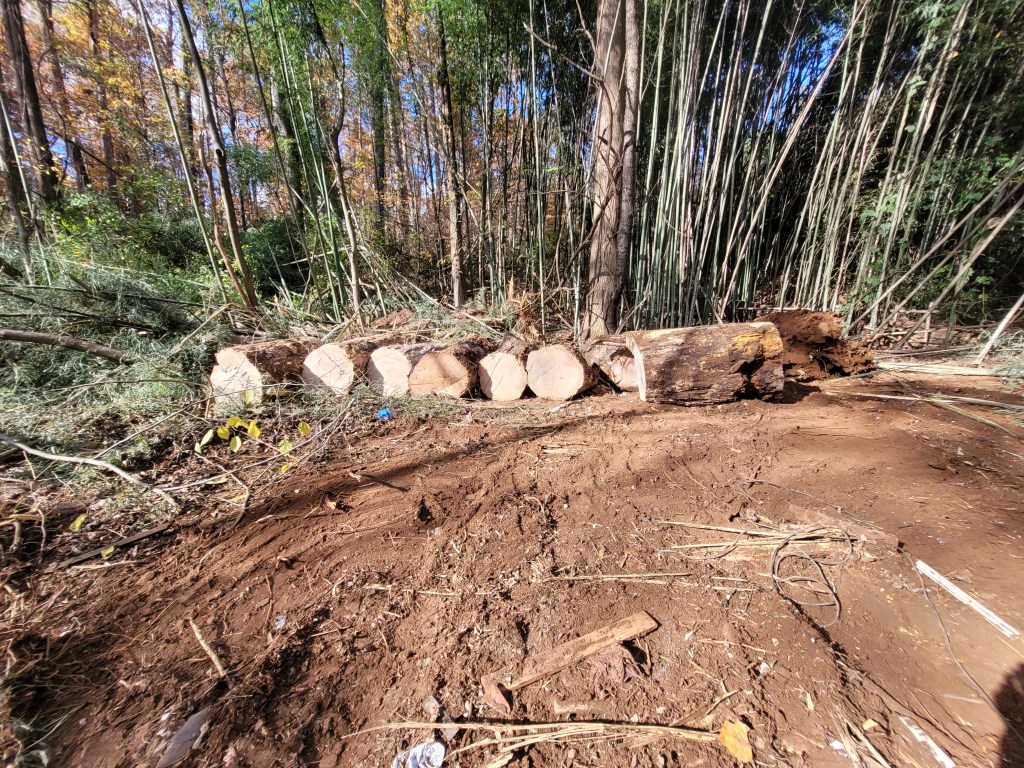 Downed Tree Removal and Land&nbsp;Clearing